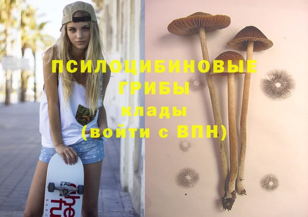 спайс Алексеевка