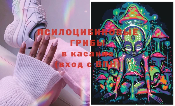 spice Алзамай